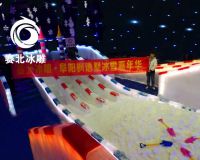 阜陽(yáng)楓語(yǔ)墅冰雕展「賽北冰雕」