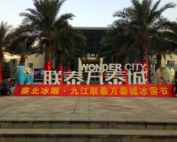 聯(lián)泰萬(wàn)泰城冰雕節(jié)「賽北冰雕」