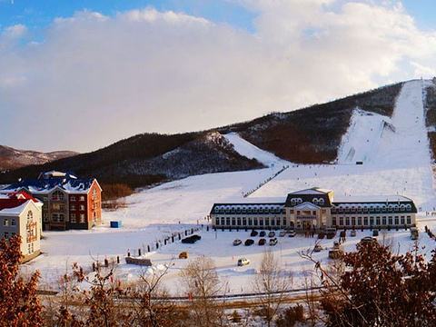 金龍山滑雪場 金龍山滑雪場