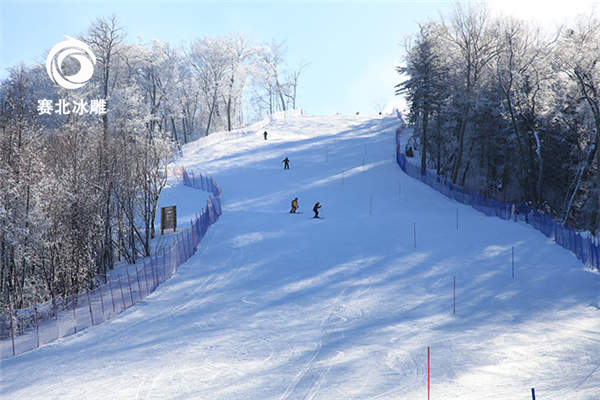 建一個(gè)室外滑雪場(chǎng)的主要成本有哪些 建一個(gè)室外滑雪場(chǎng)的主要成本有哪些