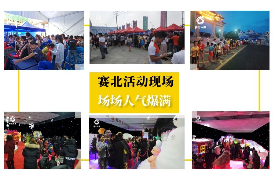 專(zhuān)業(yè)冰雕制作 專(zhuān)業(yè)冰雕制作