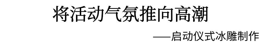 啟動儀式冰雕制作 啟動儀式冰雕制作