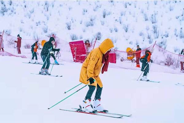 1640848511457727.jpg 446565.jpg